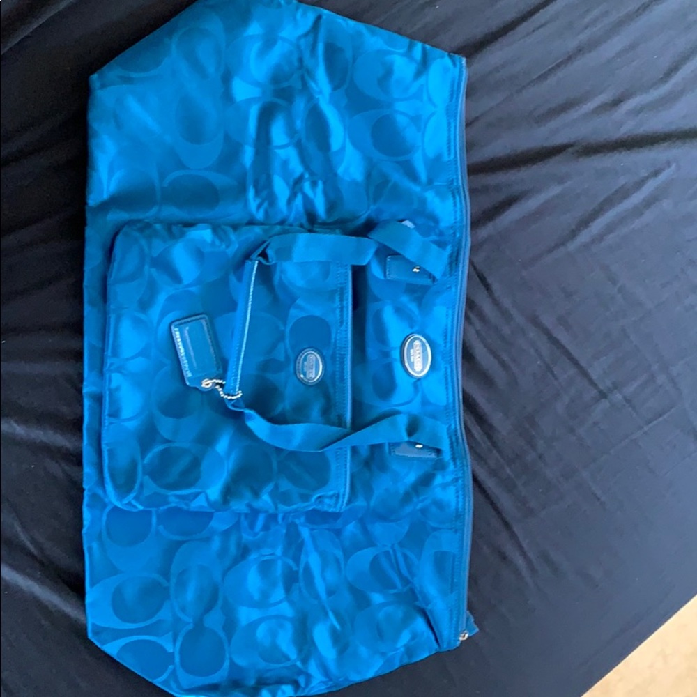 Coach bag dark plume